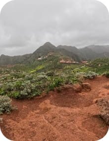 AdobeStock_495422288